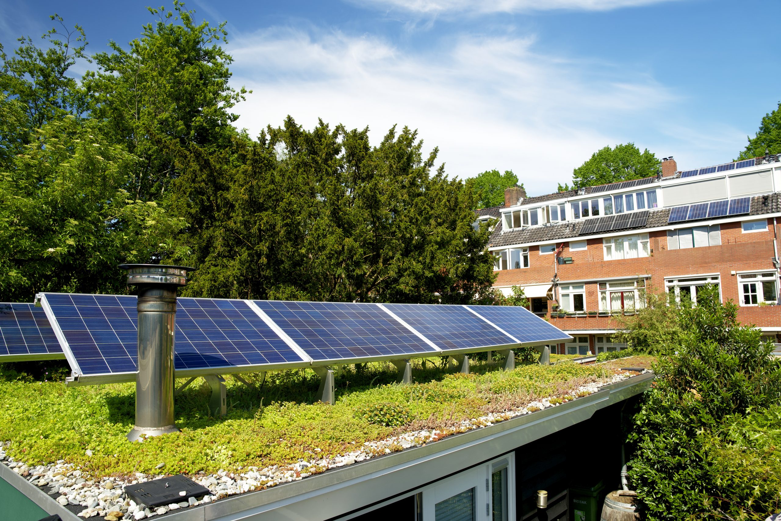 Solar panels on a green roof with flowering sedum plants